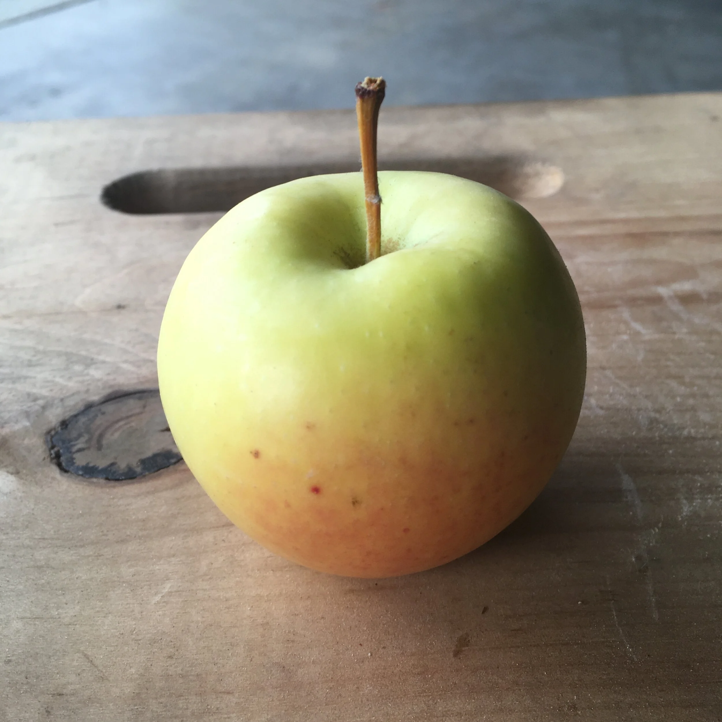 Westfield Seek-No-Further — Scott Farm Orchard